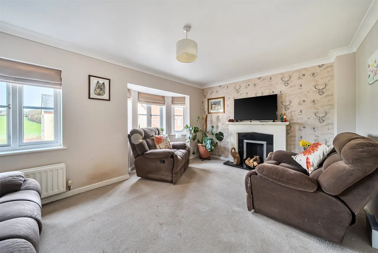 Burge Meadow, Cotford St. Luke, TA4, photo 3