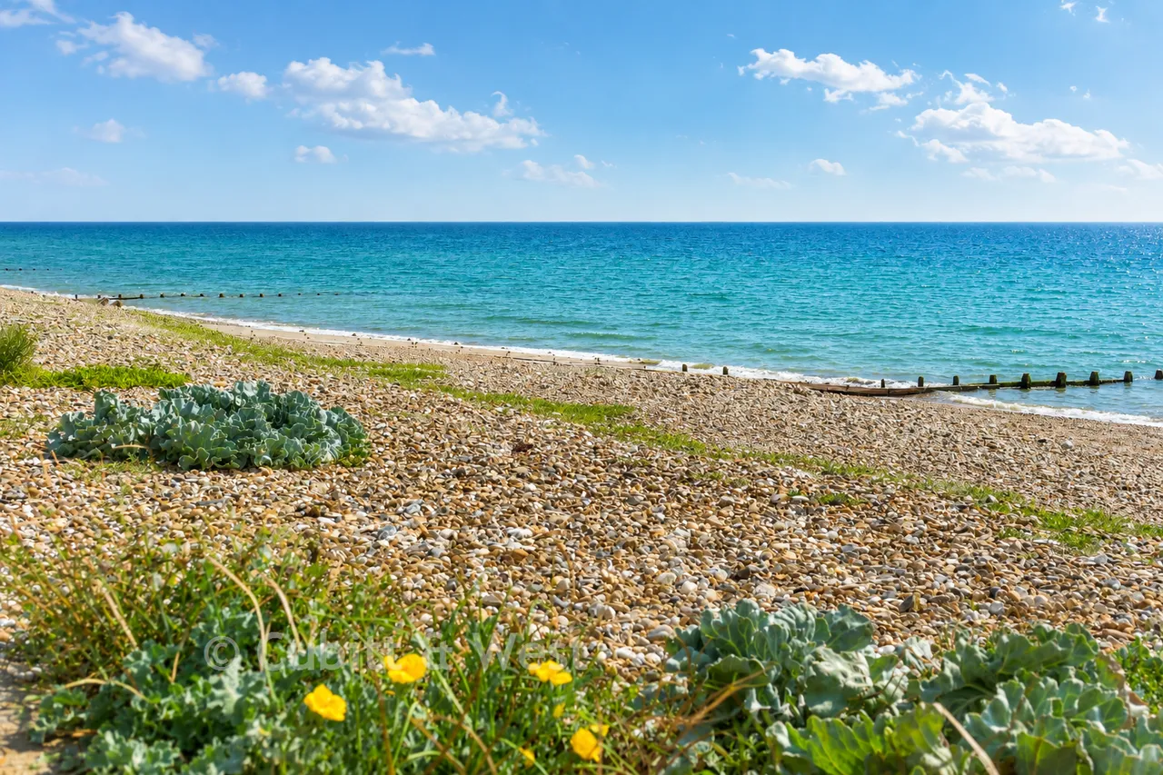 Sea Road, Rustington, BN16, photo 11