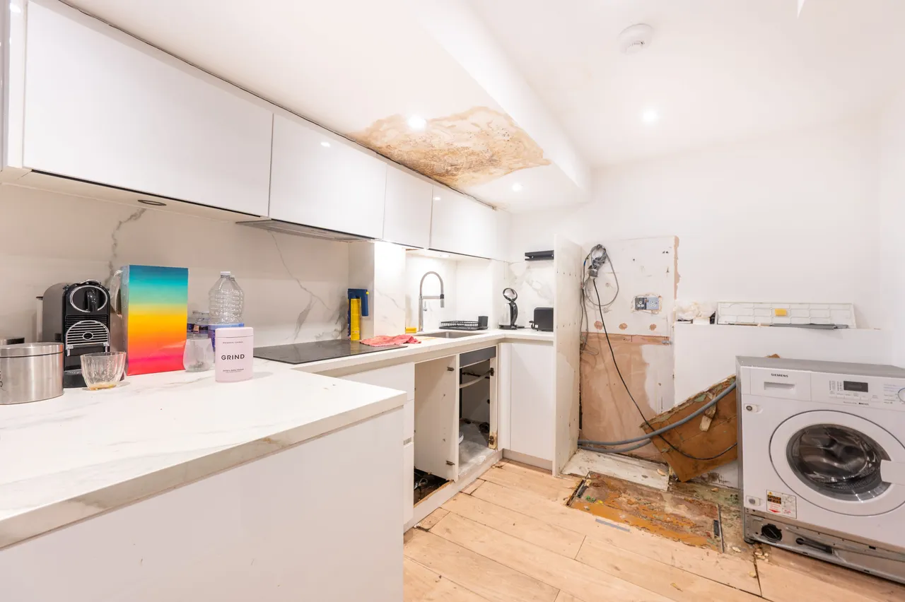 24 Saxon Hall, 16 Palace Court, London, photo 12