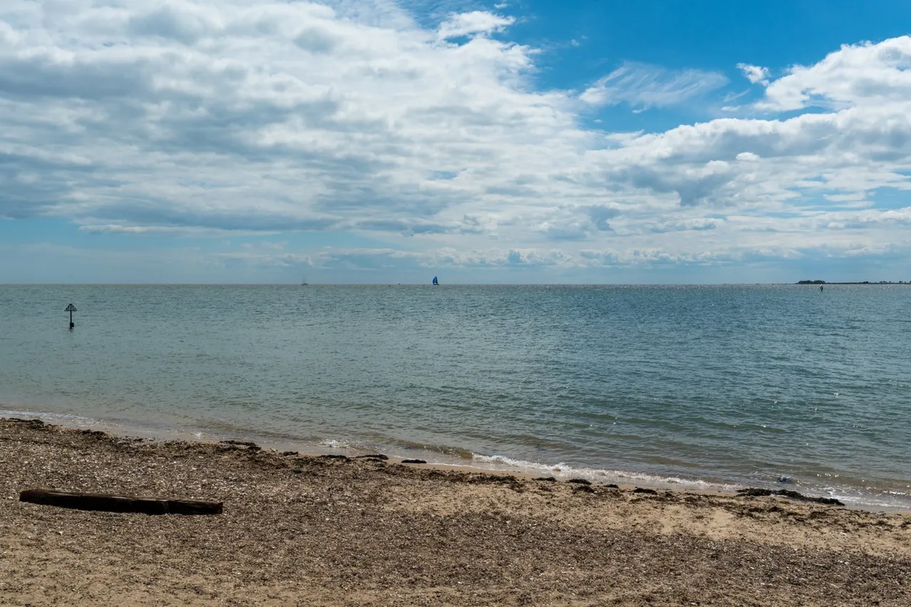 Empress Avenue, West Mersea, CO5, photo 43
