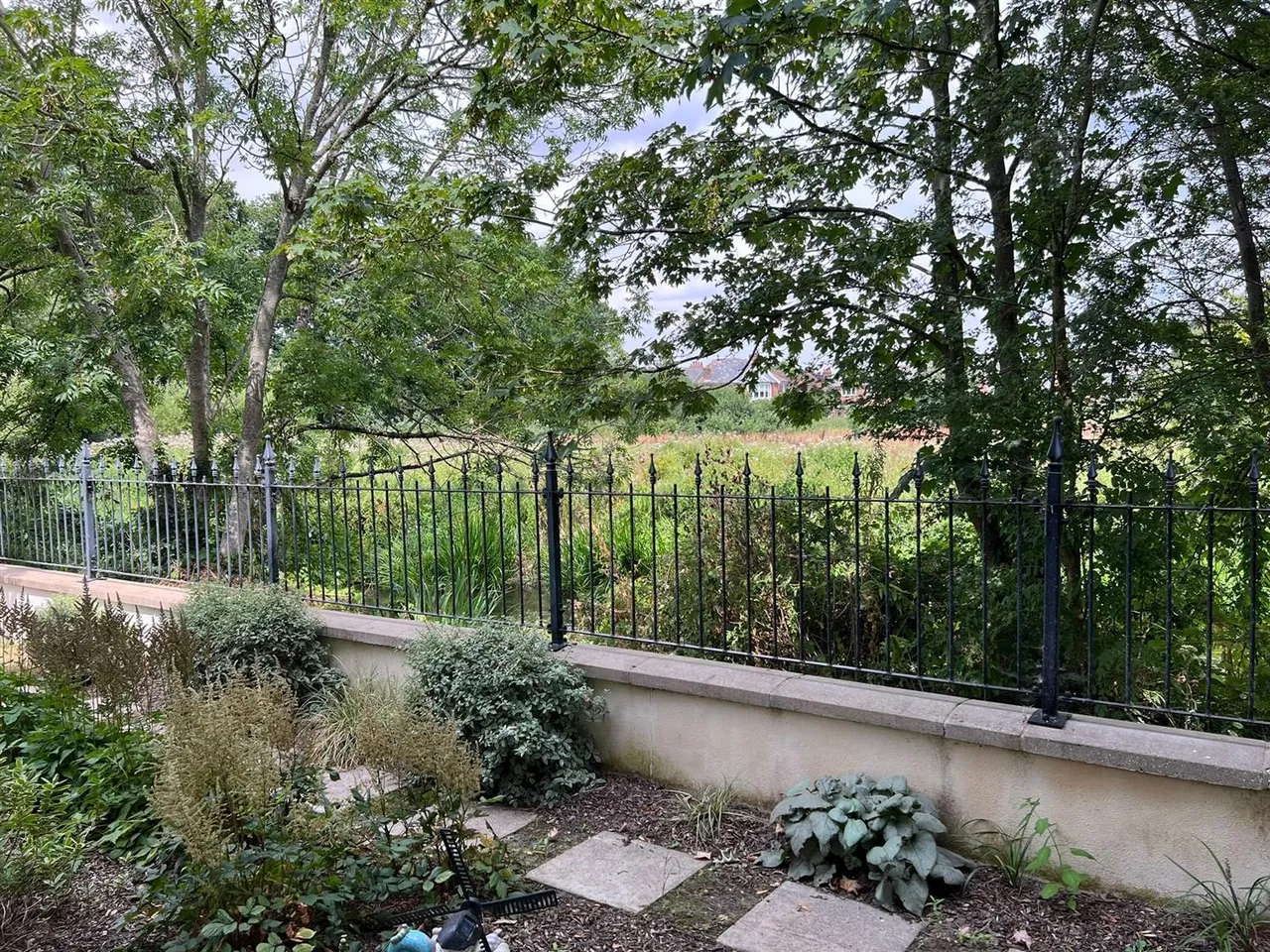 East Borough, Wimborne, BH21, photo 5