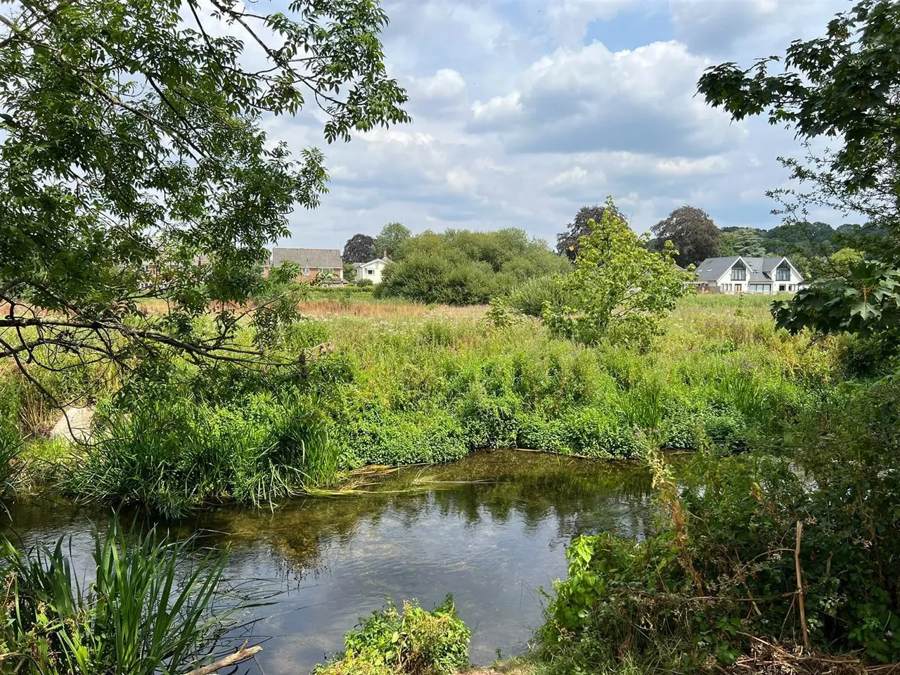 East Borough, Wimborne, BH21, photo 19