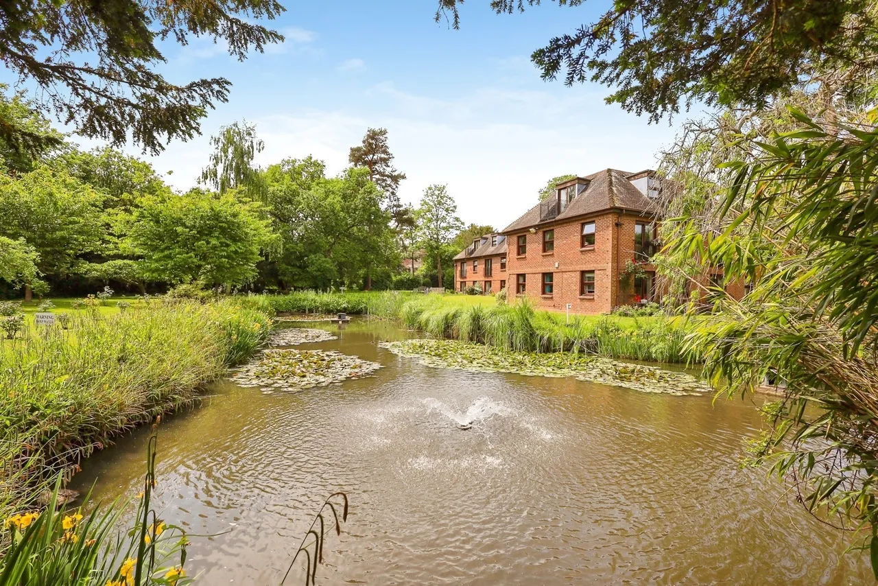 Delves Close, Ringmer, BN8, photo 17