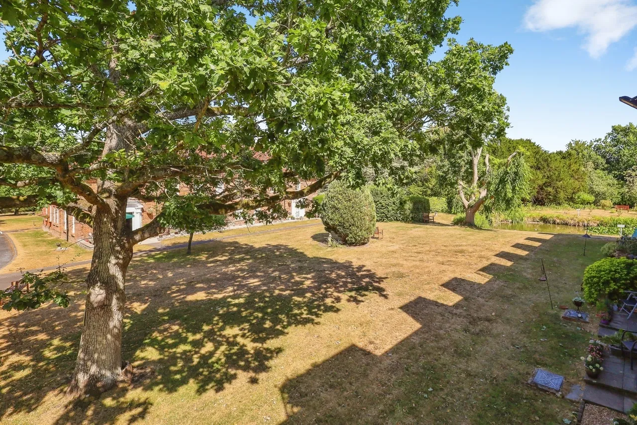 Delves Close, Ringmer, BN8, photo 15