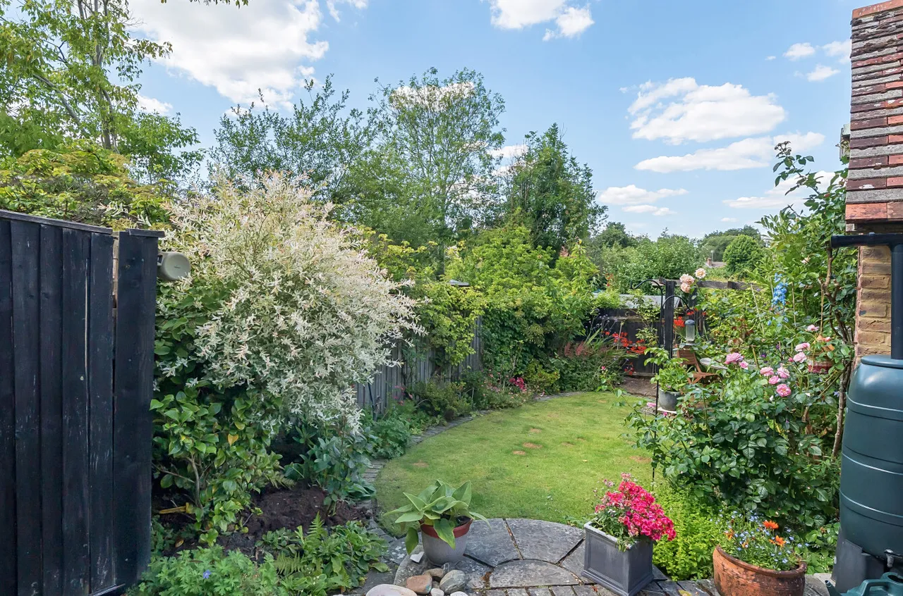Camelsdale Road, Haslemere, GU27, photo 20