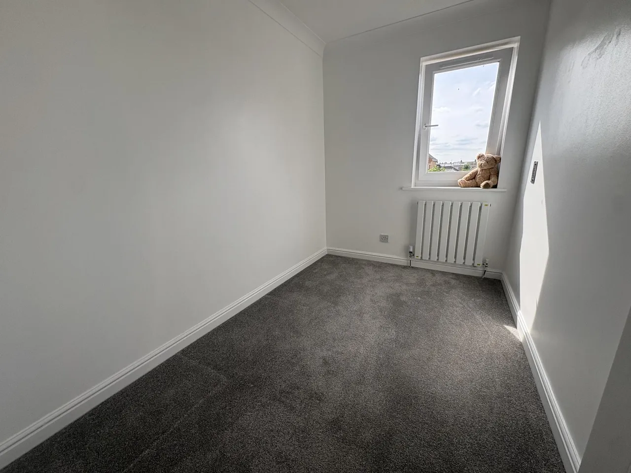 Turnstone Way, Peterborough, PE2, photo 13