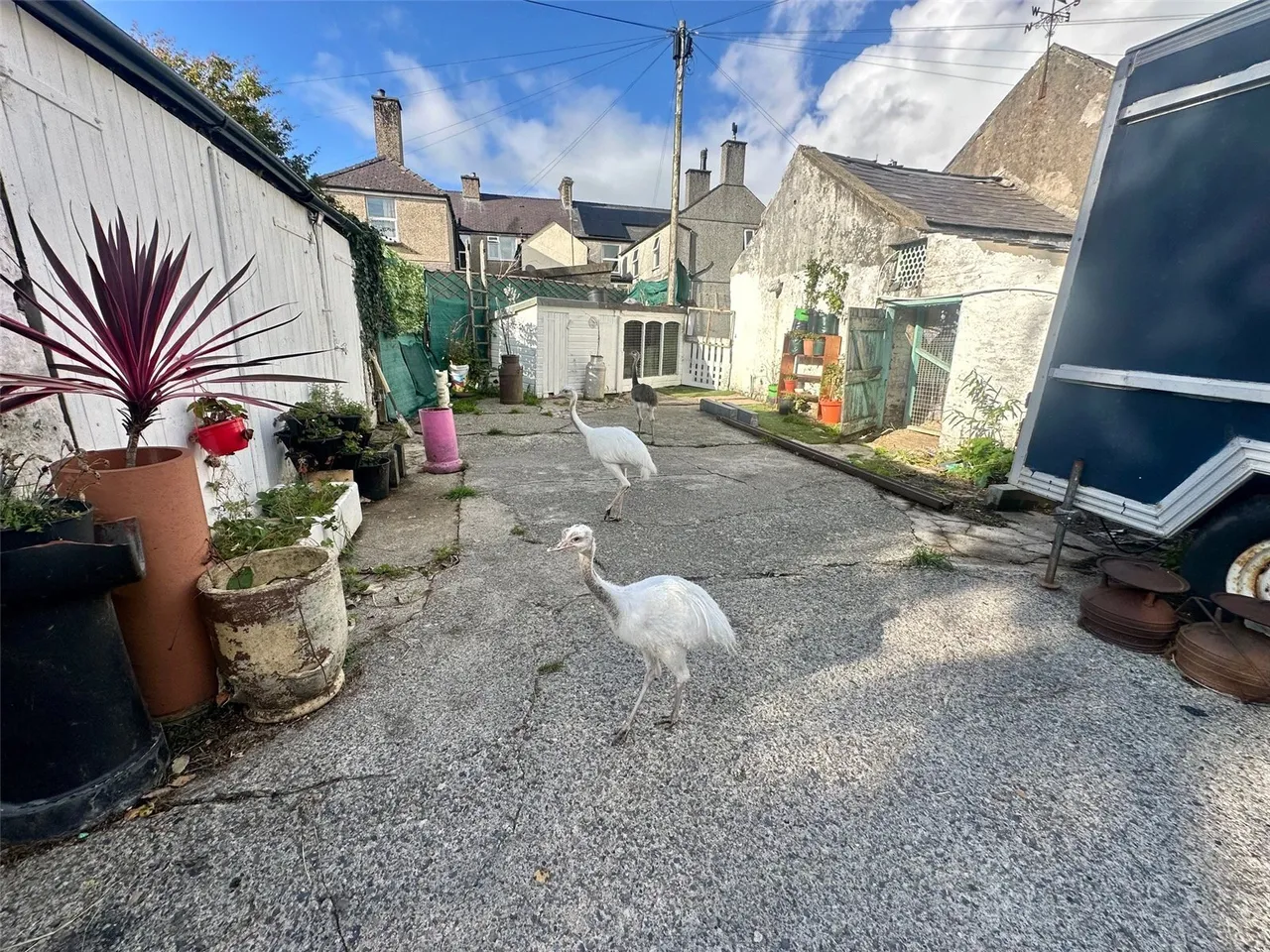 Snowdon Street, Penygroes, LL54, photo 22