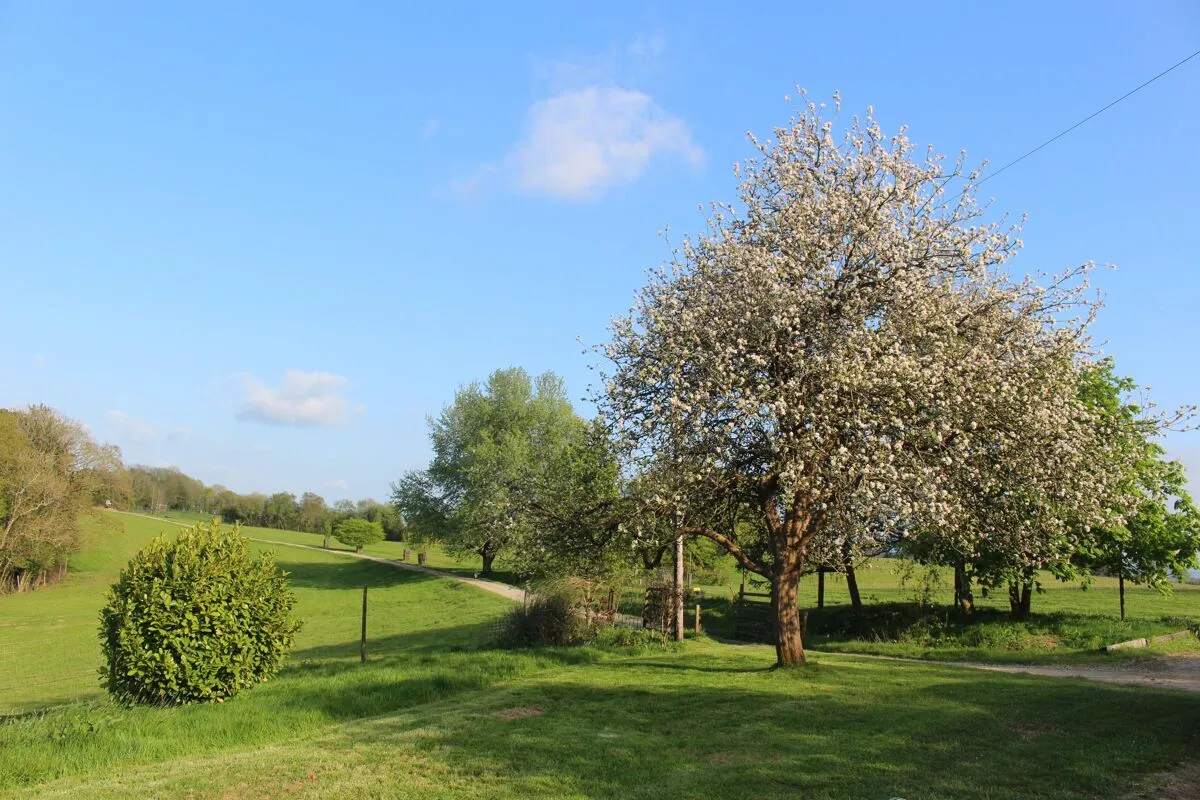 Hatherleigh, Okehampton, EX20, photo 27