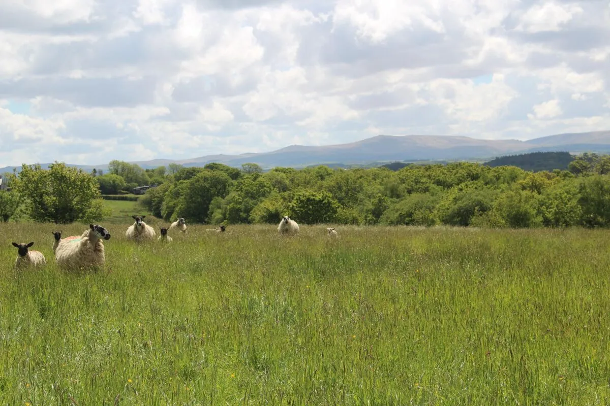 Hatherleigh, Okehampton, EX20, photo 35