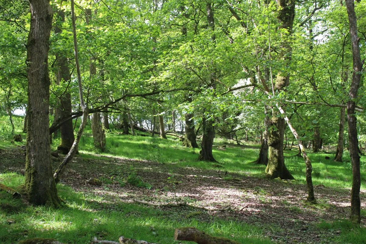 Hatherleigh, Okehampton, EX20, photo 31