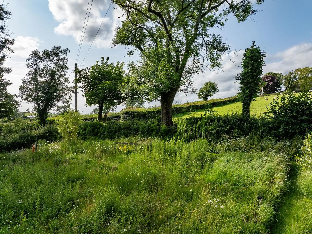 Langber End Farm, Ingleton, LA6, photo 68