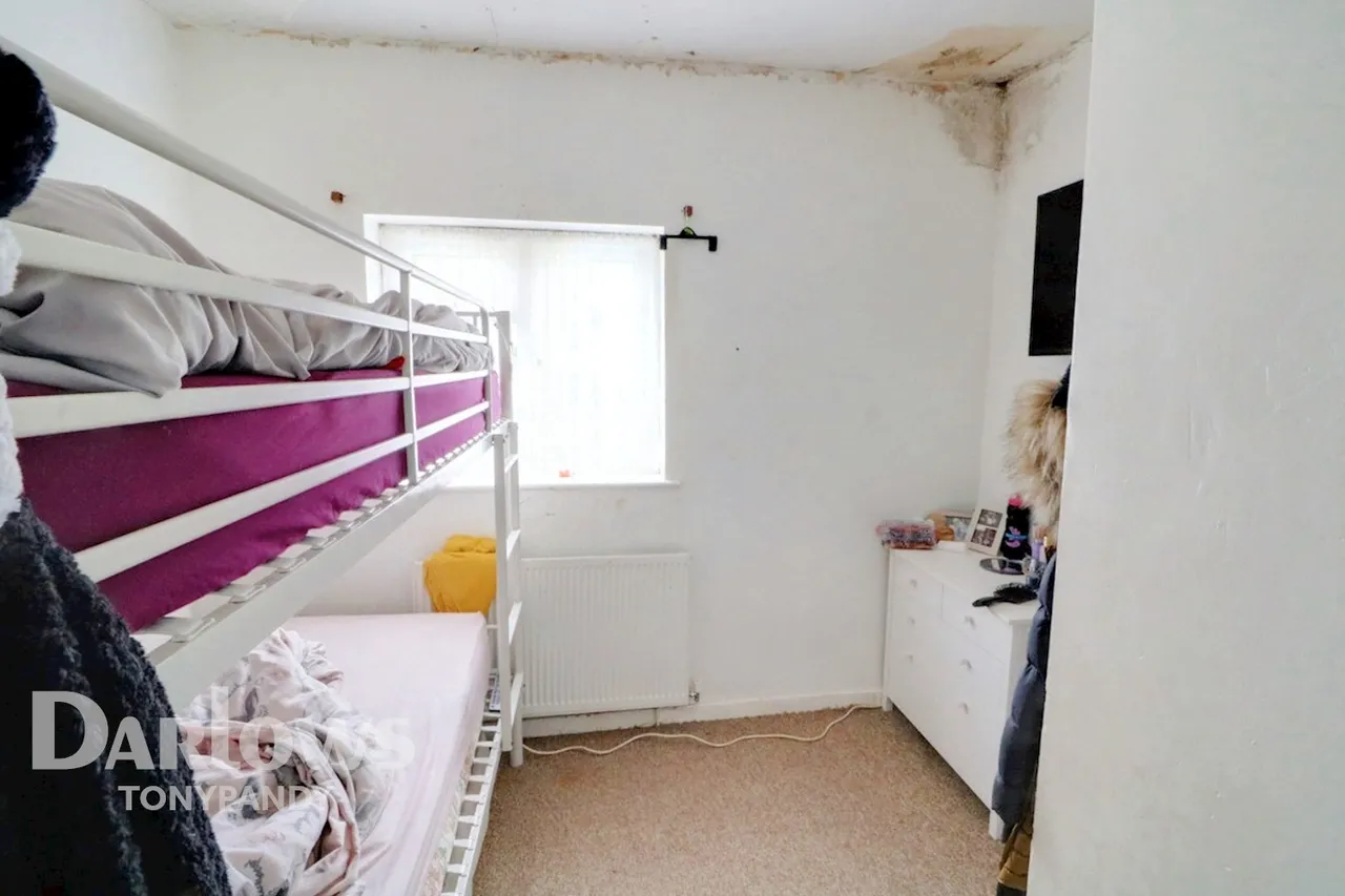 Pentre, CF41, photo 11