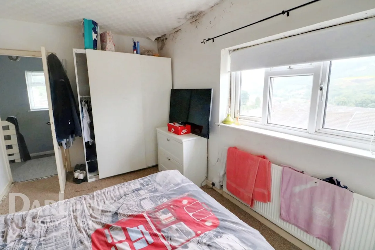 Pentre, CF41, photo 9