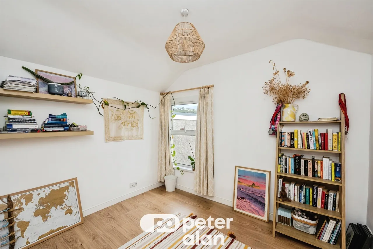 Finsbury Terrace, Swansea, SA2, photo 15