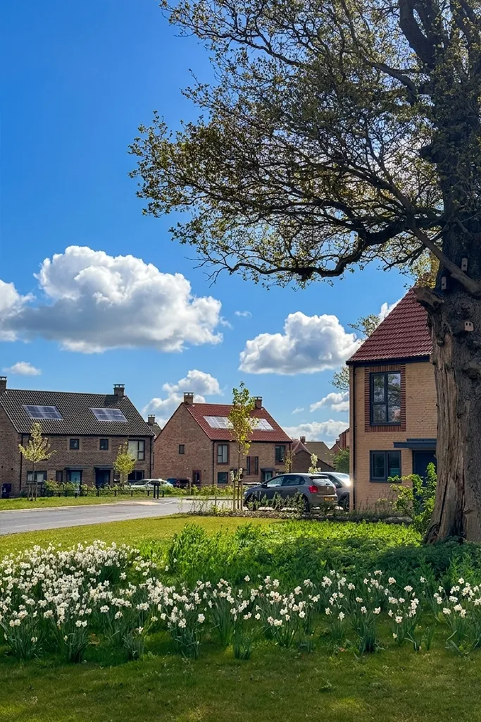 The Yelverton, St Giles Park, NR4, photo 10