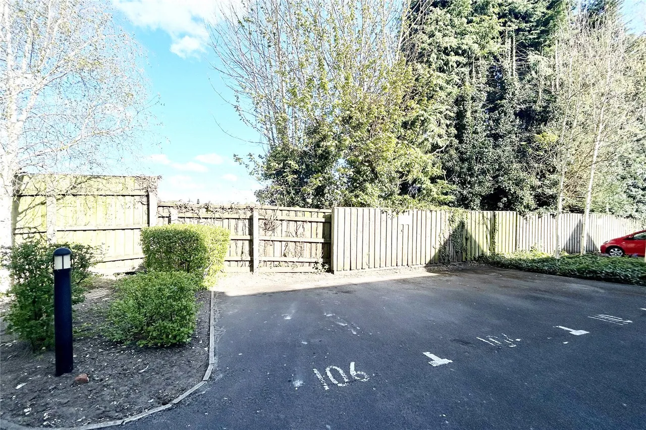 Basingfield Close, Old Basing, Basingstoke, Hampshire, RG24 7BQ, photo 7