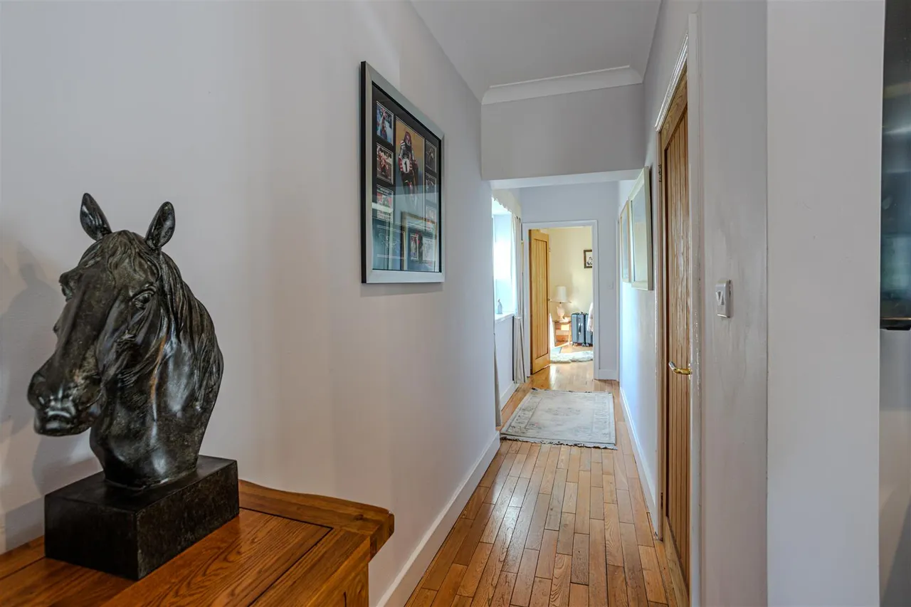 Stainforth Moor Road, Hatfield Woodhouse, photo 15