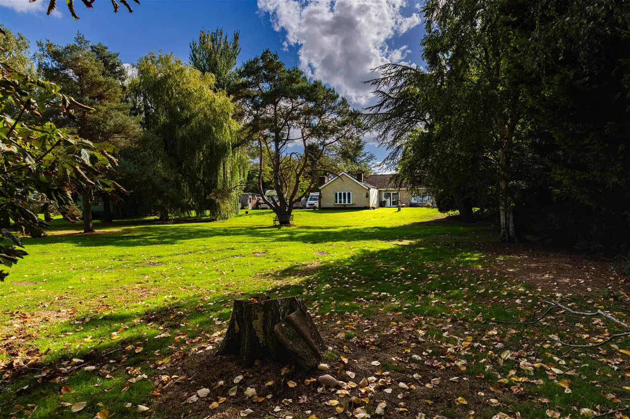 Stainforth Moor Road, Hatfield Woodhouse, photo 14