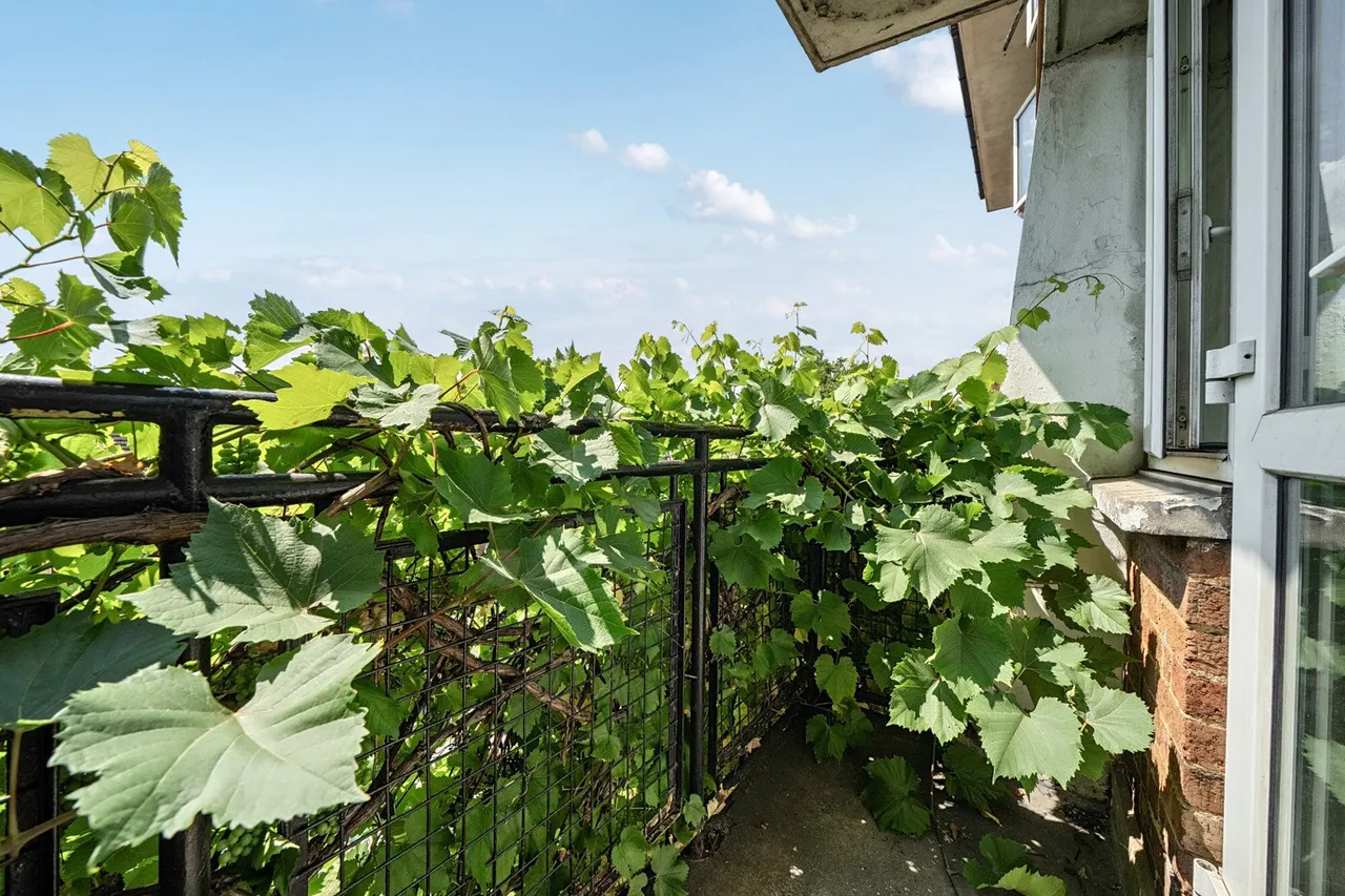 Dabin Crescent, SE10, photo 15