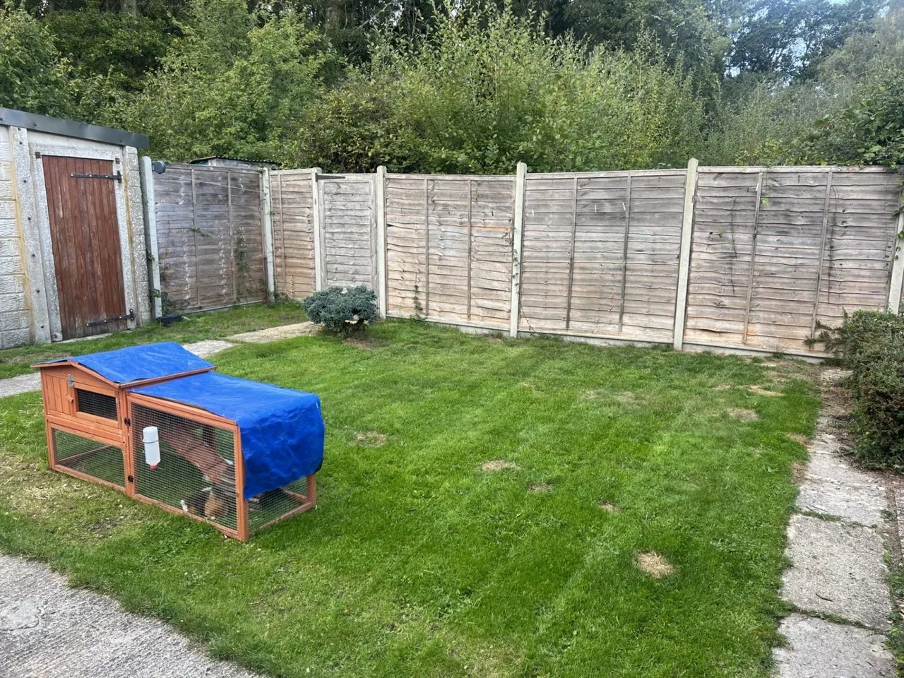 West Grimstead, Salisbury, SP5, photo 10