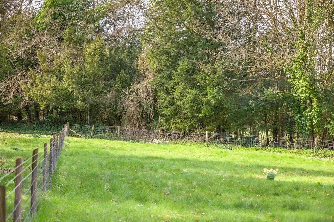 Morestead, Winchester, SO21, photo 24