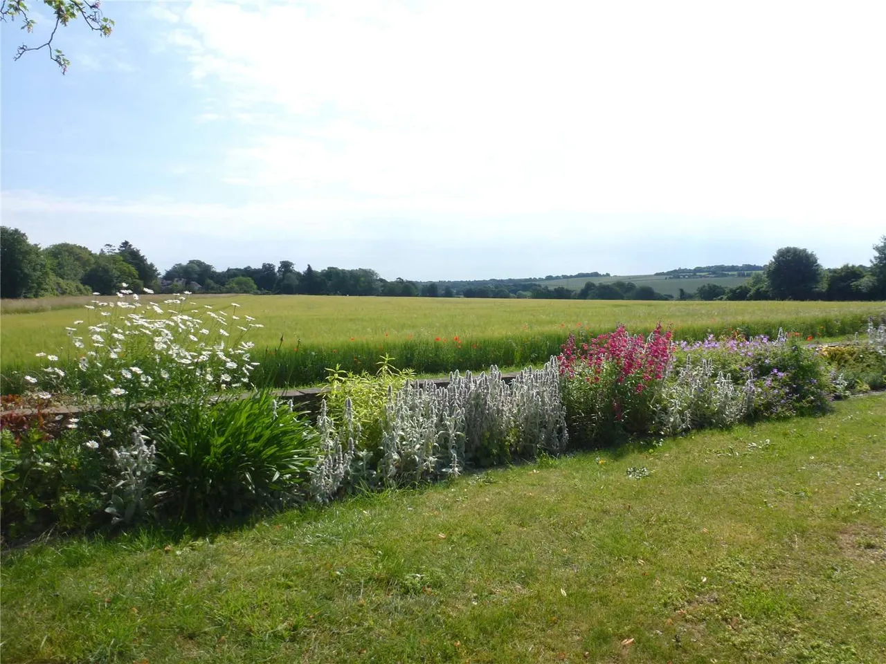 Morestead, Winchester, SO21, photo 23