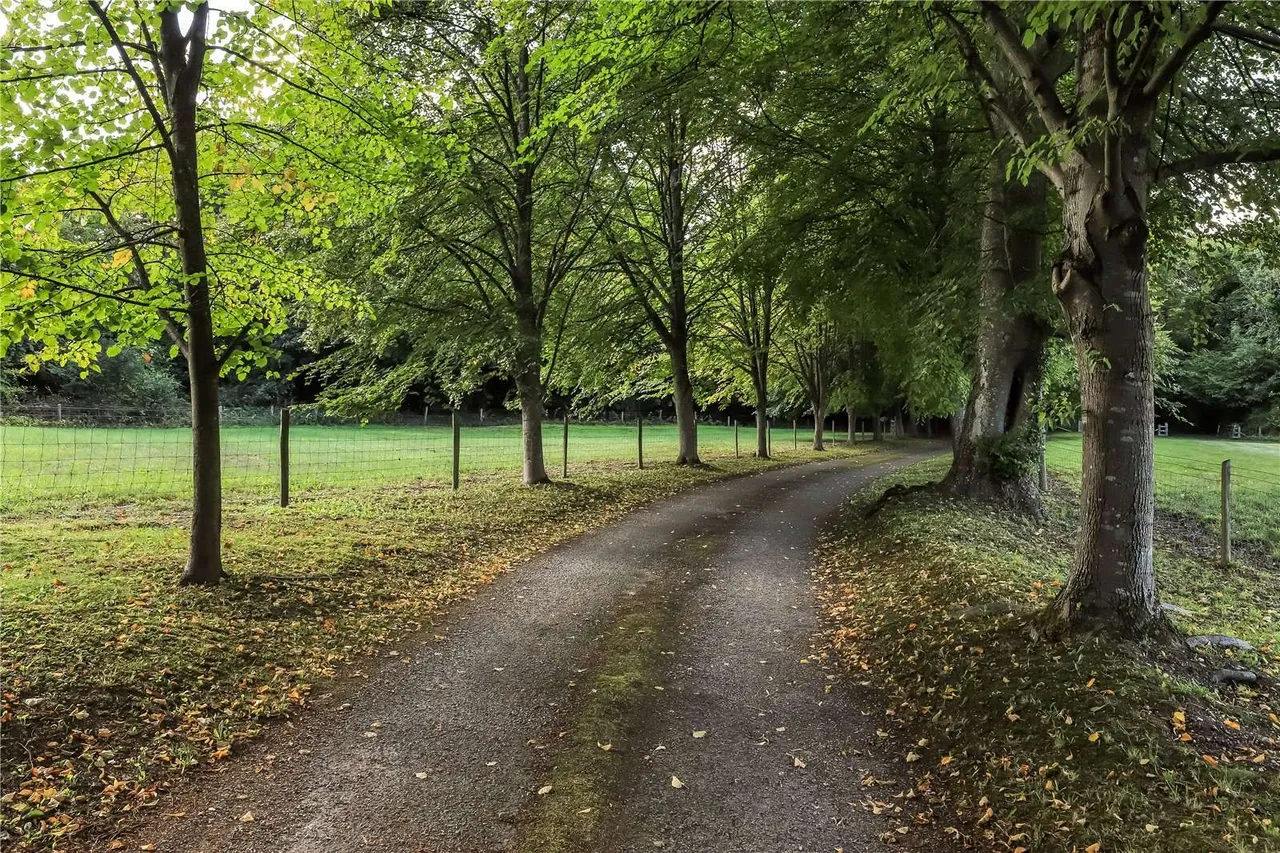 Morestead, Winchester, SO21, photo 26