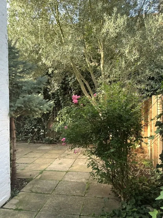 Clavering Avenue, London, SW13, photo 18