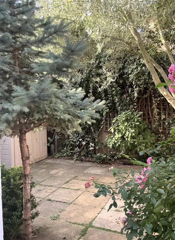 Clavering Avenue, London, SW13, photo 17