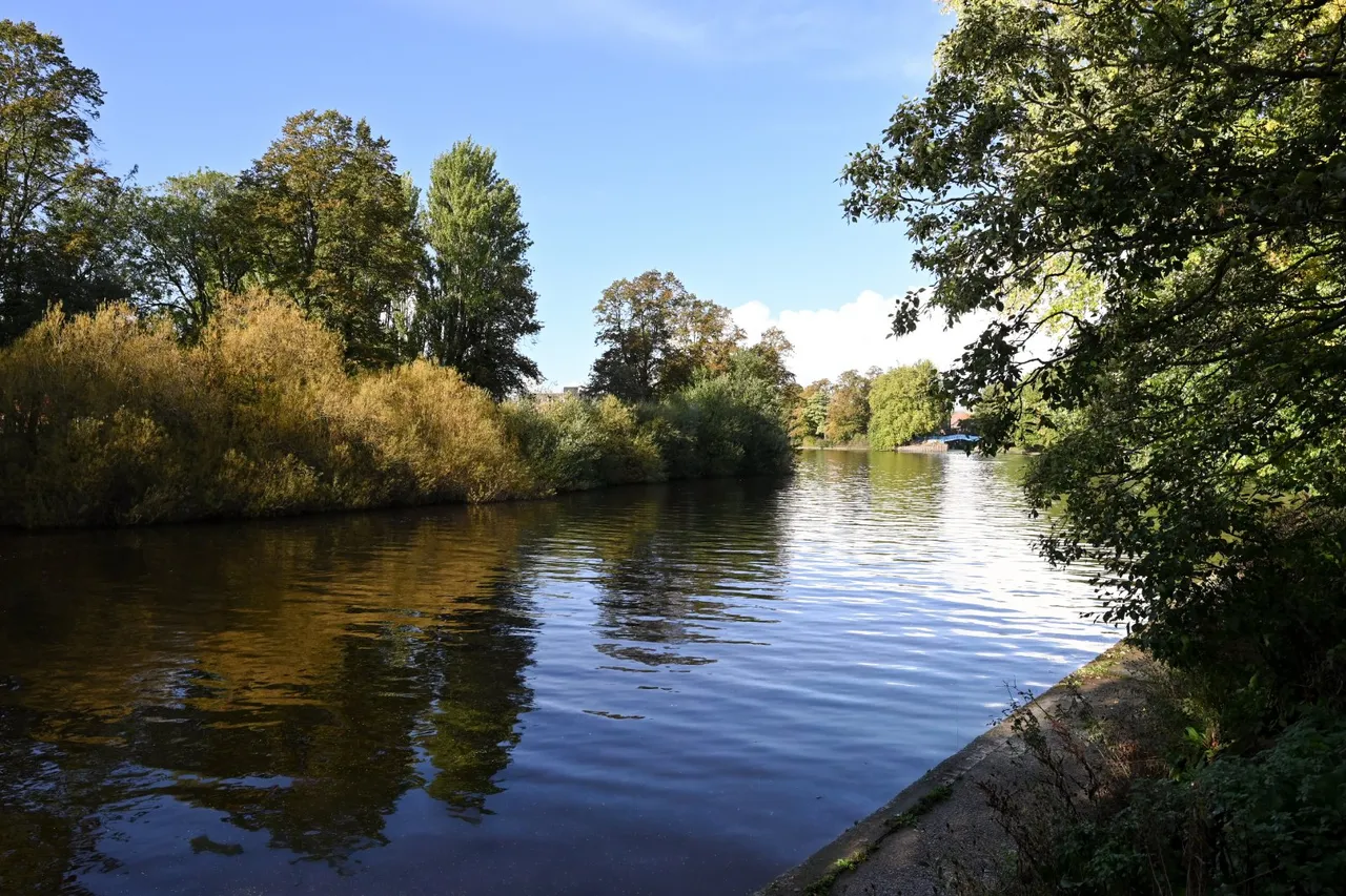 Lastingham Terrace, York, YO10, photo 3