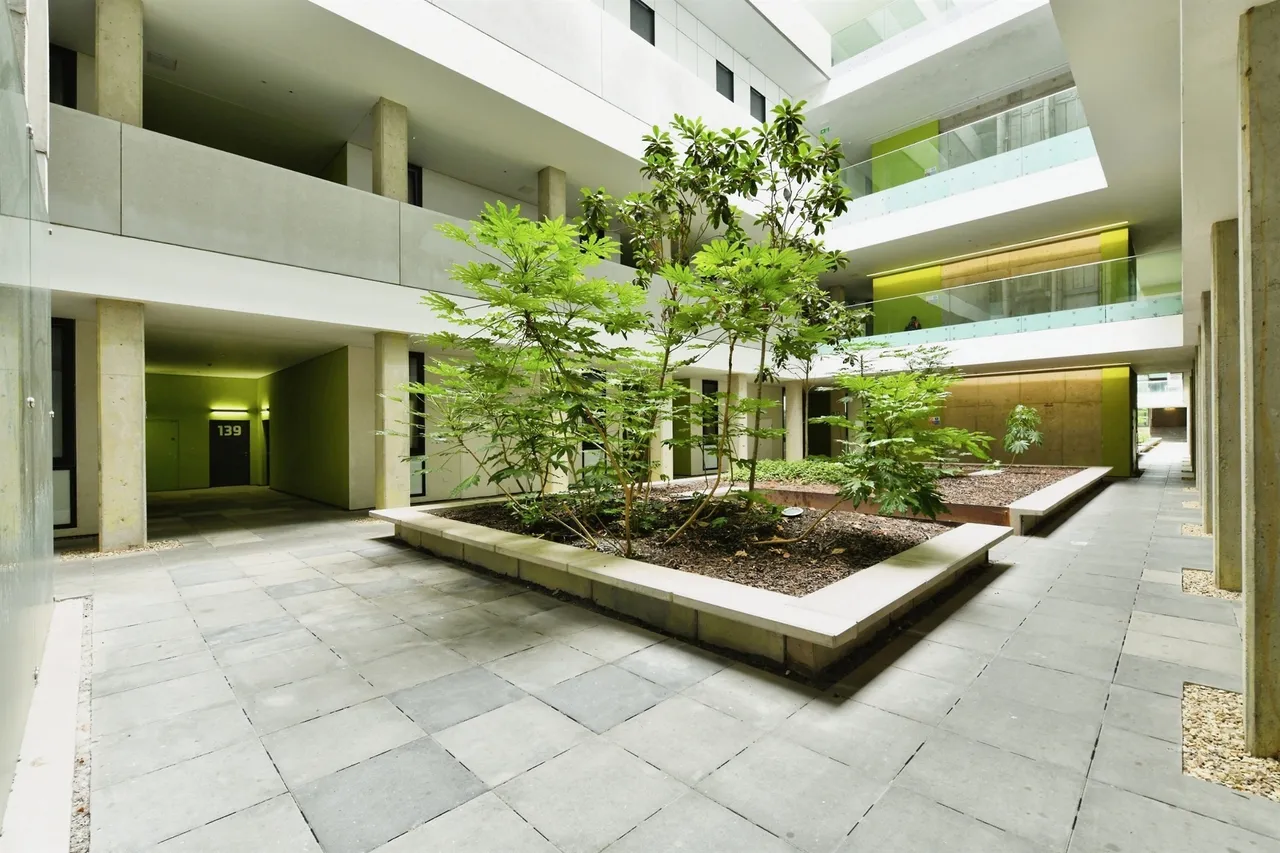 Lake Shore Drive, Bristol, BS13, photo 14