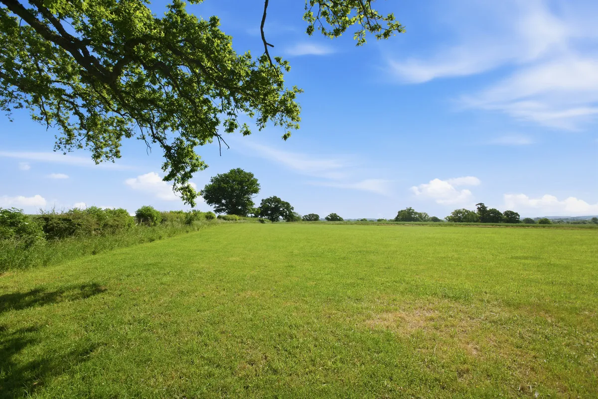 Poachers Retreat, Alcester Heath, B49, photo 45