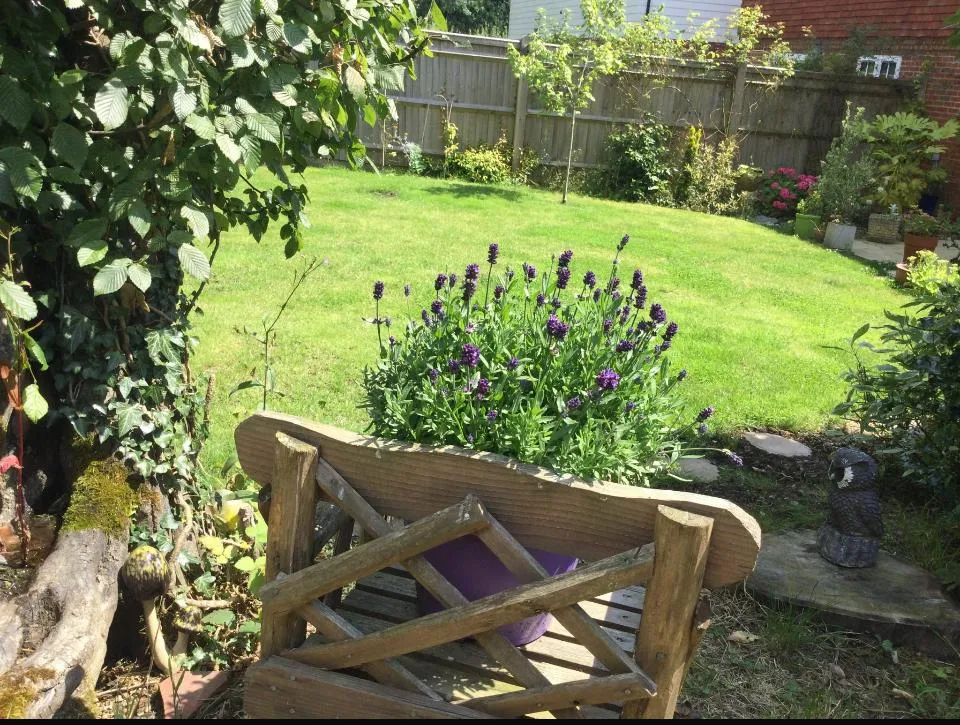Chiddingly Road, Heathfield, TN21, photo 24