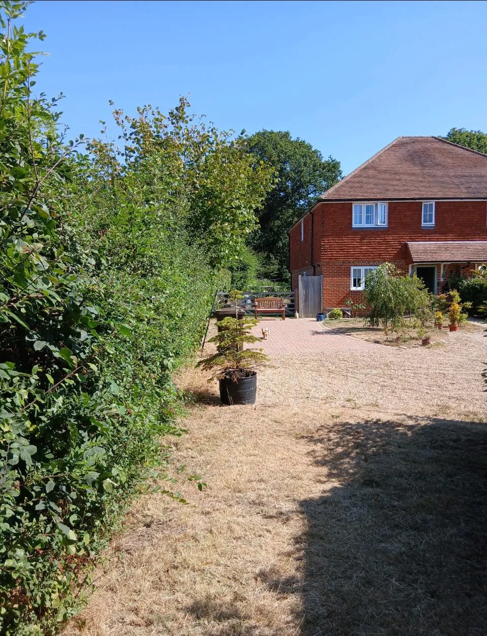 Chiddingly Road, Heathfield, TN21, photo 20