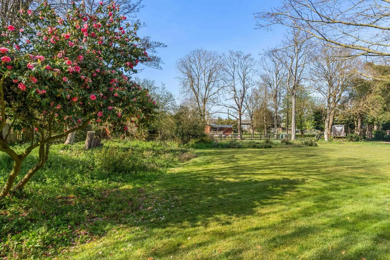 Asheldham, Southminster, CM0, photo 51