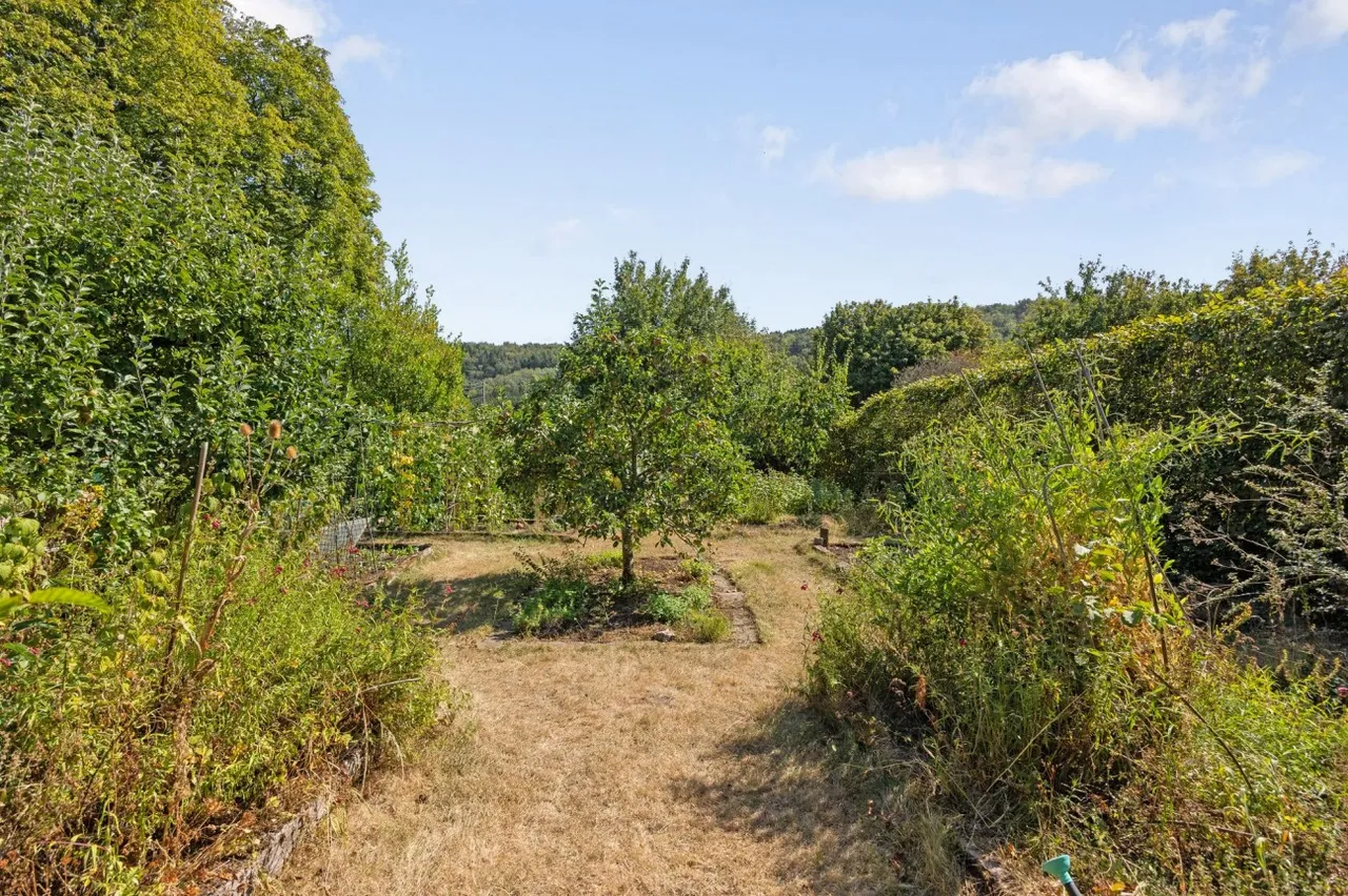 Says Lane, Langford, BS40, photo 22