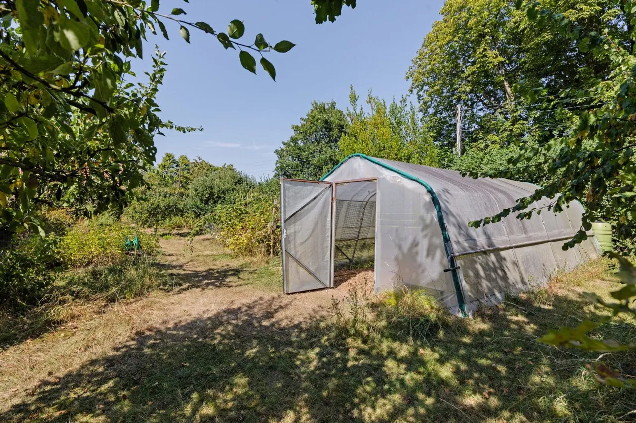 Says Lane, Langford, BS40, photo 25