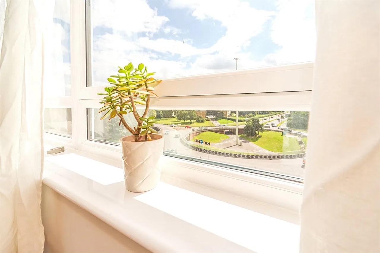 Southgate, Stevenage, Hertfordshire, SG1, photo 6