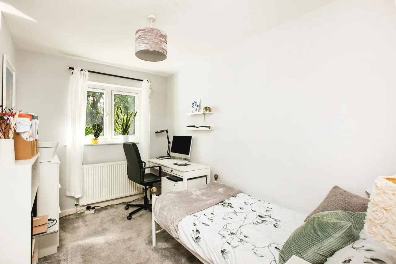 Fern Road, Newton Abbot, TQ12, photo 17