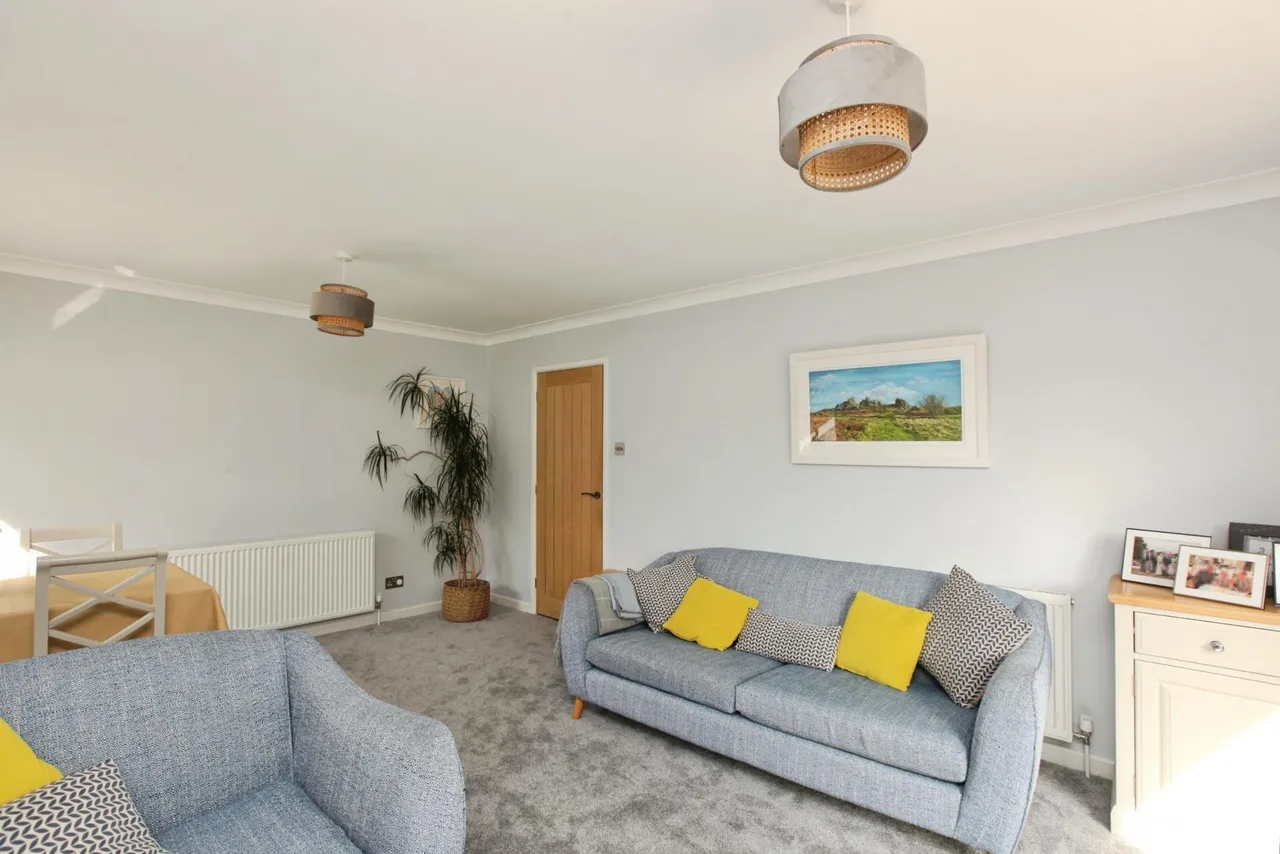 Fern Road, Newton Abbot, TQ12, photo 7