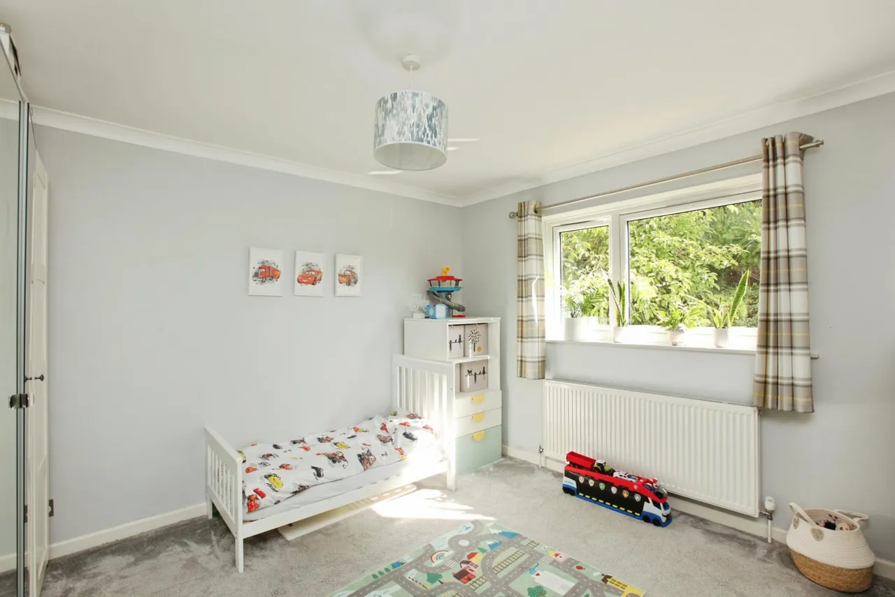Fern Road, Newton Abbot, TQ12, photo 13