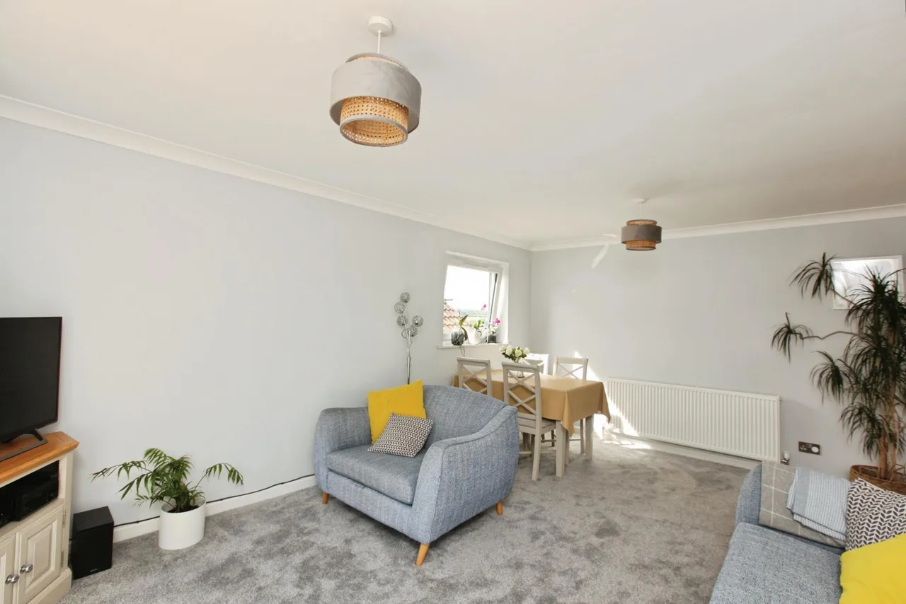 Fern Road, Newton Abbot, TQ12, photo 6
