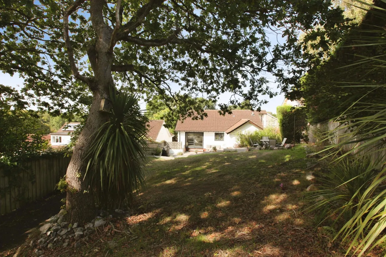 Fern Road, Newton Abbot, TQ12, photo 5