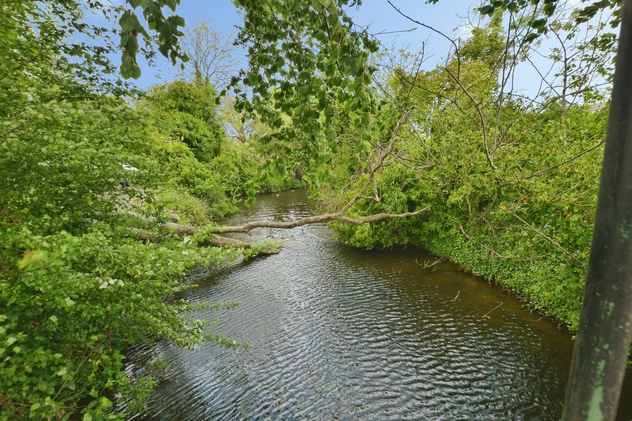 Hythe Road, Dymchuch, Kent, TN29, photo 11