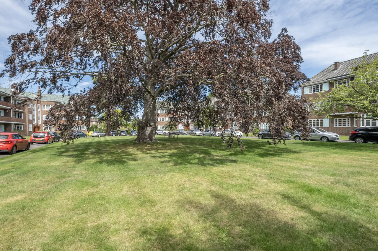 Roehampton Close, London, SW15, photo 8