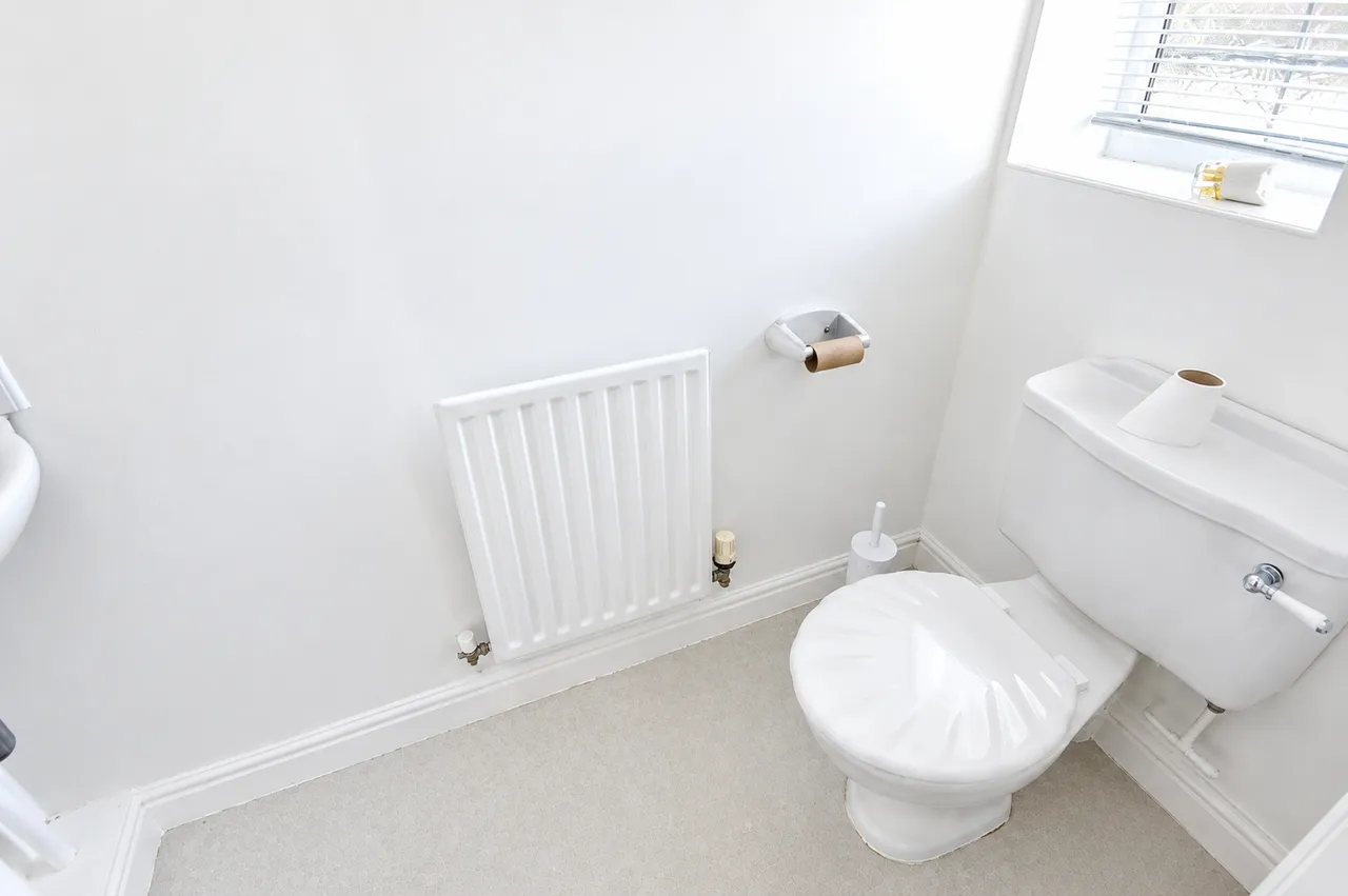 Stockley Crescent, Shirley, B90, photo 17