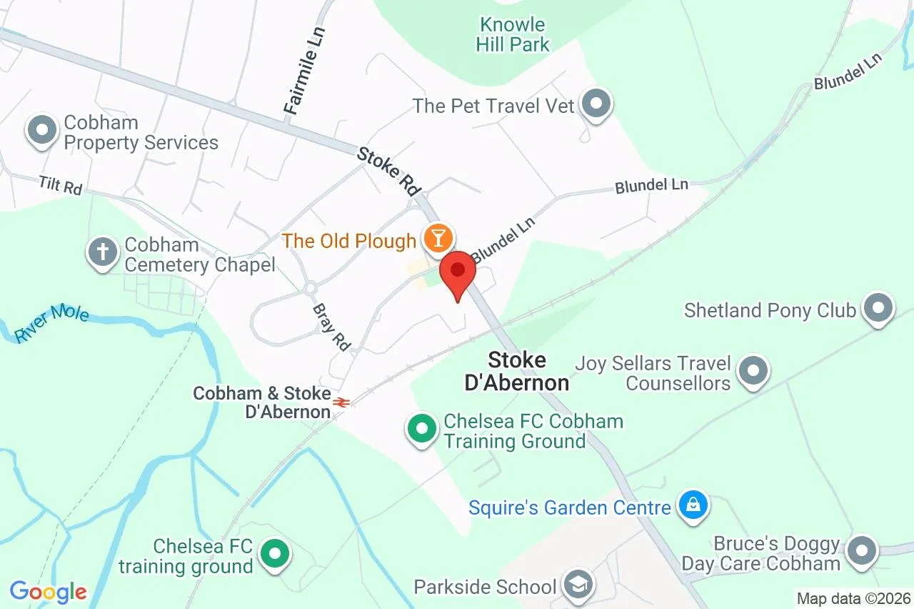 Winston Drive, Stoke D'abernon, KT11, photo 23