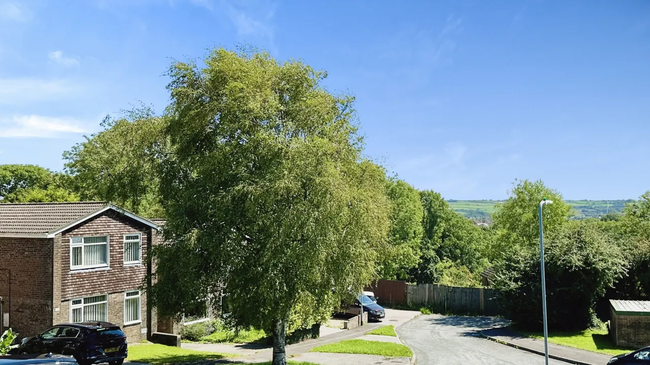 Ton Rhosyn, Brackla, Bridgend, Mid Glamorgan, photo 9