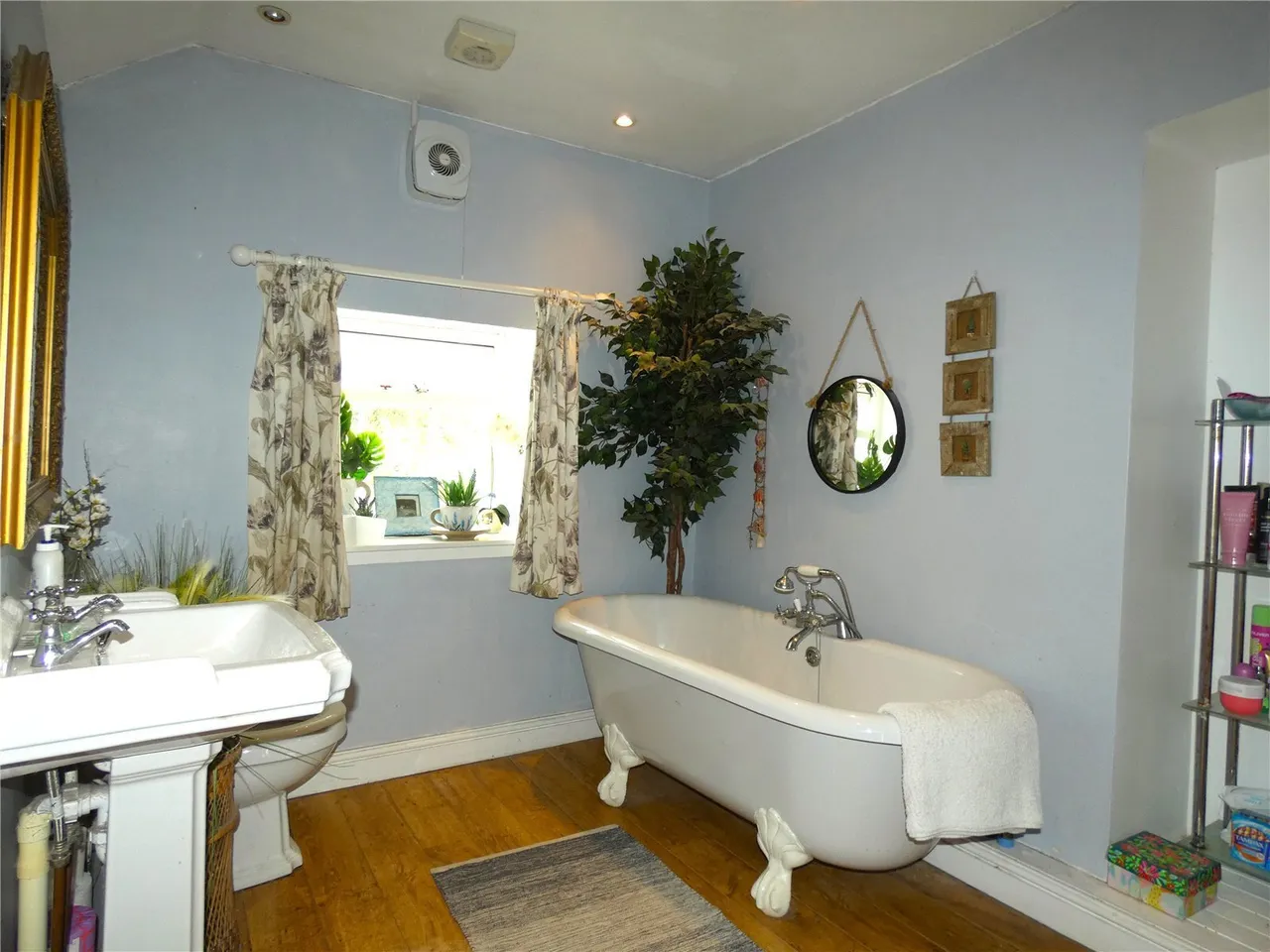 Clwt-y-Bont, Caernarfon, LL55, photo 12