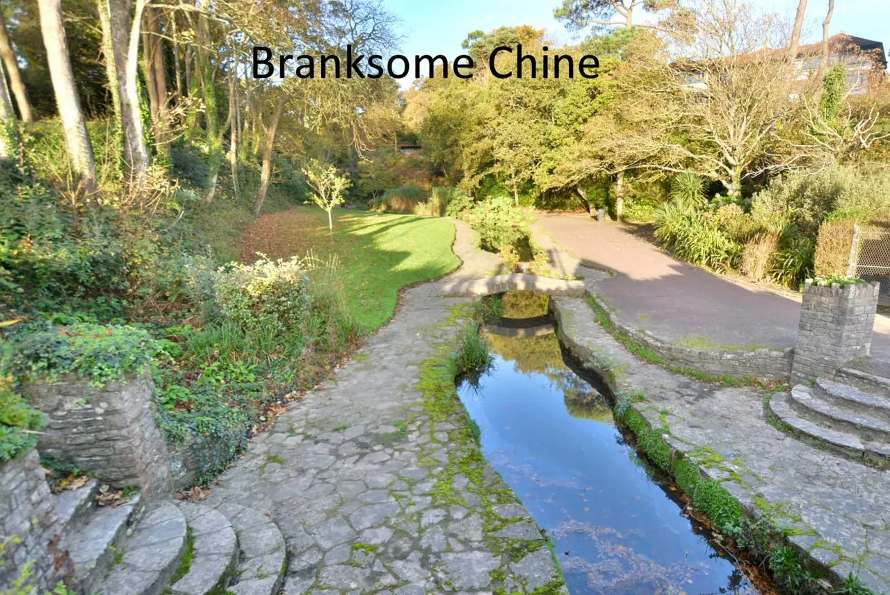 Western Road, BH13, photo 28